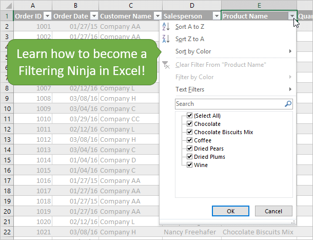Excel Filters - Free Video Training Series - Part 1 of 3 - Excel