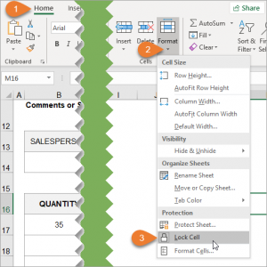 How to Lock Cells for Editing and Protect Formulas - Excel Campus